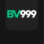 BV999 Game